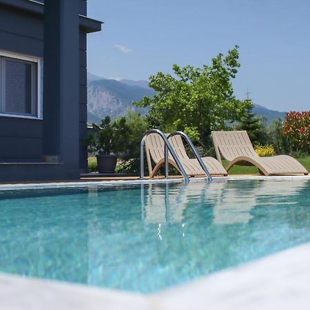 Zeusplace Pool Villa Olympus Riviera Litochoron Bagian luar foto